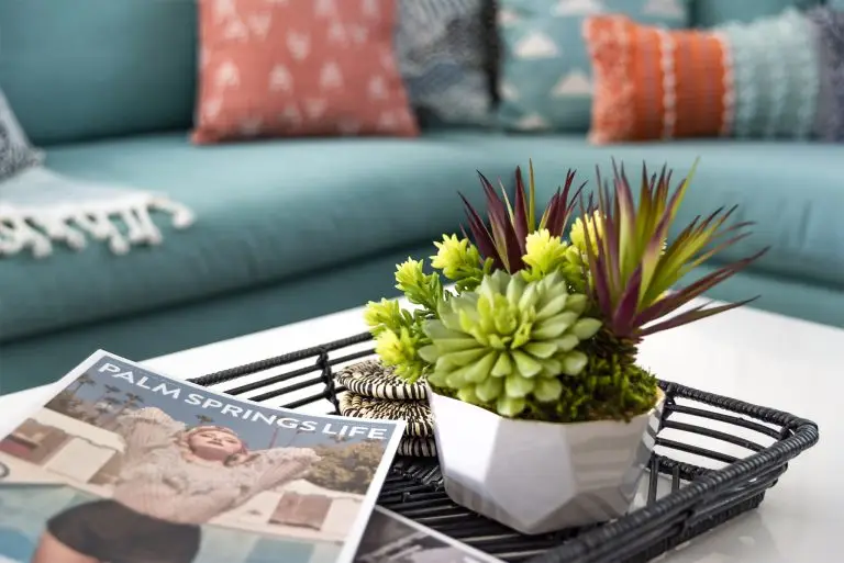 Detail of modern coffee table with magazine and succulent arrangement in front of turquoise sofa at Biskra House.